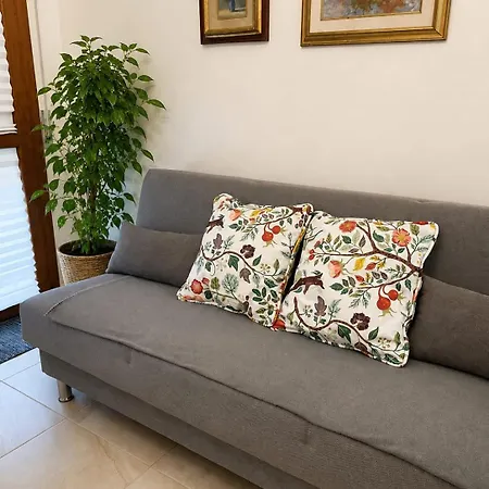 Mimosa Apartment *